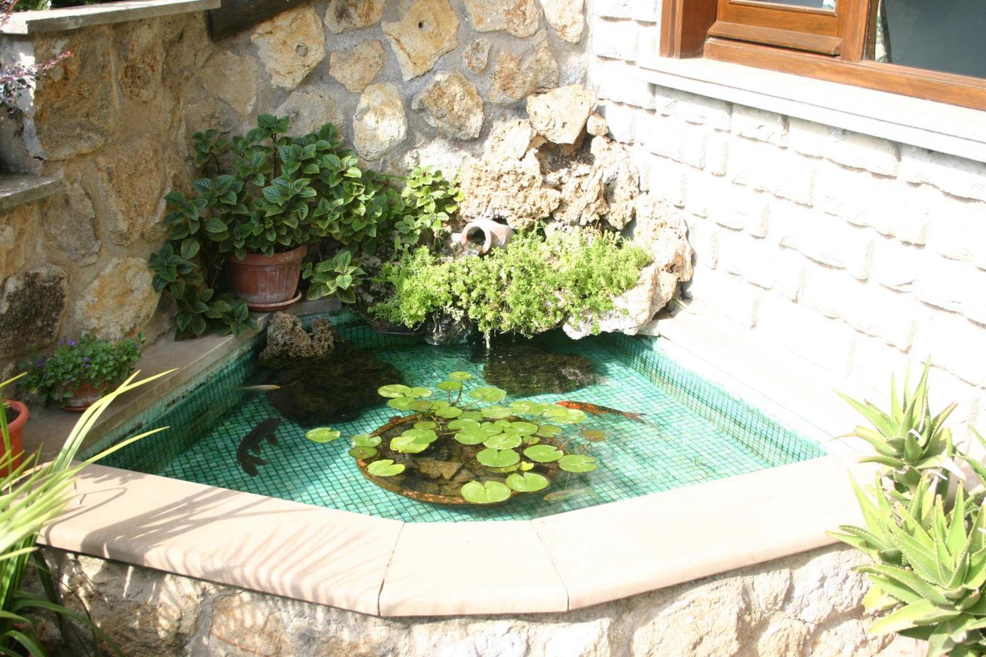 B&B Le Palme Bassano Romano ภายนอก รูปภาพ