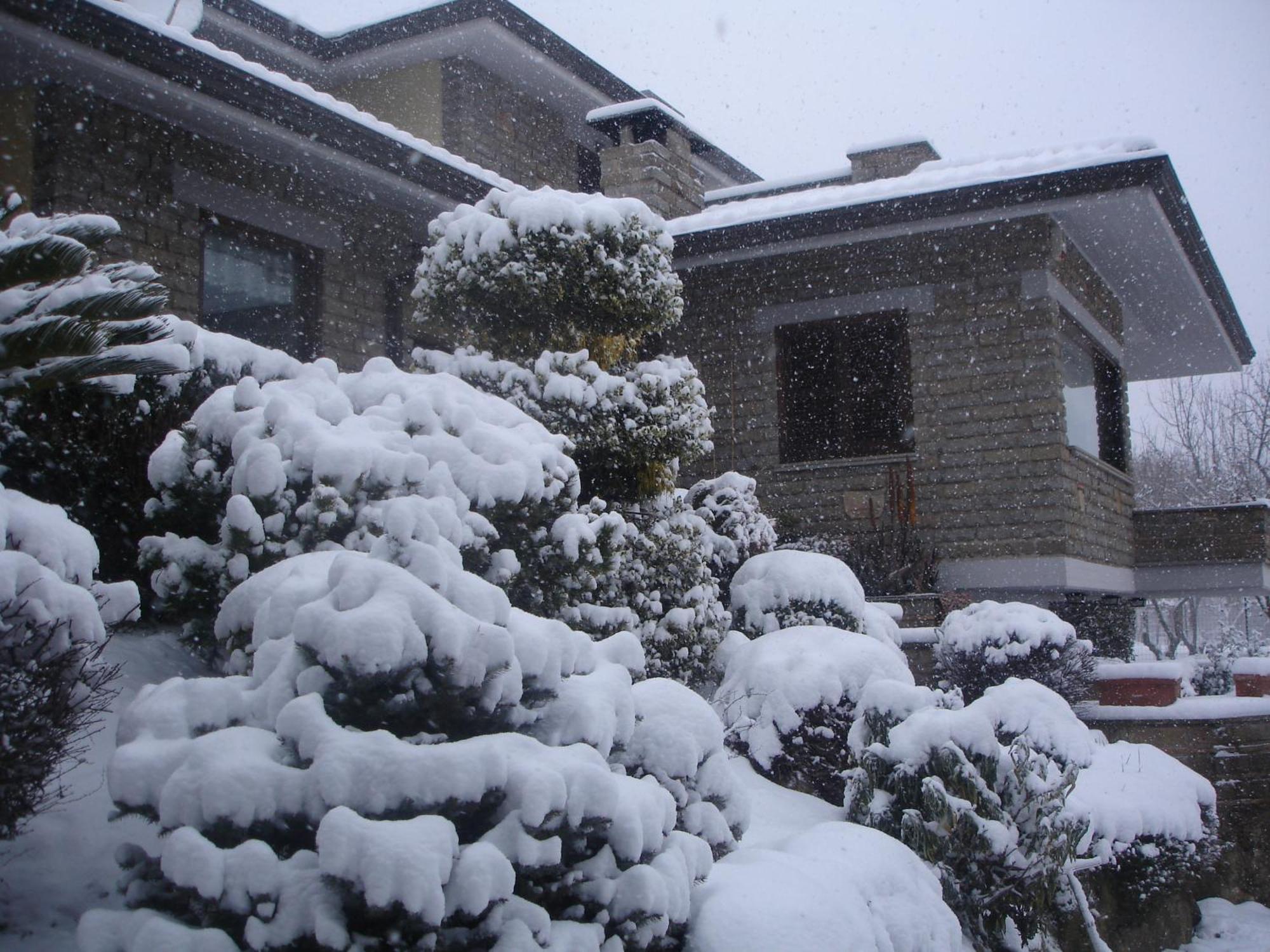 B&B Le Palme Bassano Romano ภายนอก รูปภาพ
